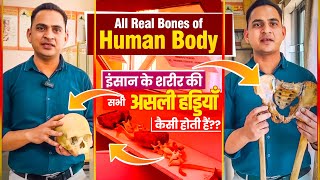 FullVideoAll Real Bones of Human Body  इंसान के शरीर की सभी असली हड्डियाँ कैसी होती हैं viral [upl. by Lardner916]