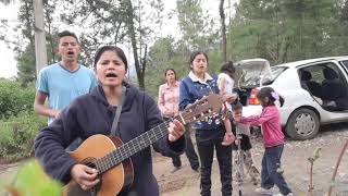 Canto de Entrada viejito🥰 Vienen con alegría Letra y acordes [upl. by Attiuqahs]