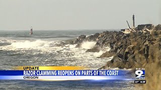 Razor clamming reopens on parts of coast [upl. by Brunella849]