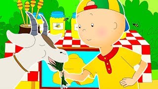 Caillou en Français  Caillou va à la Ferme  dessin animé en entier  NOUVEL ÉPISODE 2017 [upl. by Barker120]