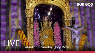 velankanni live mass today  velankanni live [upl. by Maje]