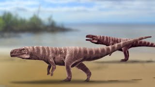 Batrachopus grandis A Bipedal Crocodile Relative From the Time Of The Dinosaurs [upl. by Uttica832]