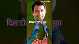 Praniti shinde Rahul Gandhi 🥰 Love story🤩congresspraniti shinderahulgandhinew viralshortvideo [upl. by Demeyer508]