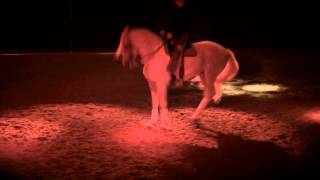 Equus Arte  Au rythme des Chevaux flamenco [upl. by Ahselrak]