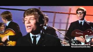 HERMANS HERMITS  Im Into Something Goodwmv [upl. by Jabon290]