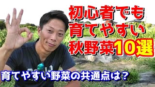 初心者でも育てやすい秋野菜10選 迷ったらこれ！ 育てやすい野菜の条件は？ [upl. by Stroud712]