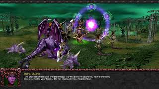 Shattered Skies  Chapter 6  Malfurions Quest Evil Warcraft 3 Custom Campaign Full Playthrough [upl. by Enitsej221]