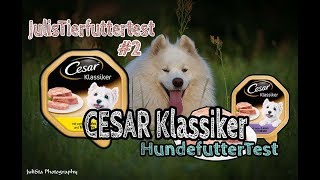 Hundefutter CESAR Klassiker im Test Nassfutter für Hunde  Review  JulisTierfuttertest 2 [upl. by Ecenahs440]