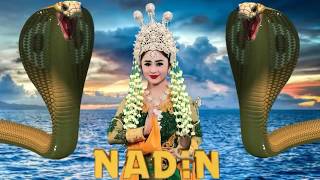 NADIN Opening [upl. by Stilwell42]