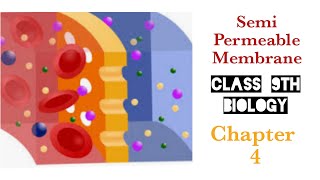 Application of Knowledge about Semi permeable Membrane Class 9th Biology Chapter 4 [upl. by Atsilac332]