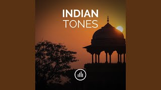 Indian Drone Tone in D [upl. by Annodahs]