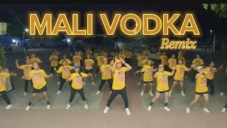 Mali Vodka Remix  Dance Fitness  Zumba [upl. by Ayk549]