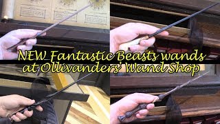 Fantastic Beasts wands at Ollivanders Wand Shop Universal Studios Hollywood [upl. by Remus]