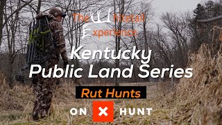 Hunting the Rut on a New Piece of Public land Kentucky Public land Series [upl. by Nitsyrc]