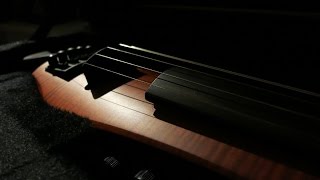 NS Design CR5 5 String Violin Demo [upl. by Oicinoid864]