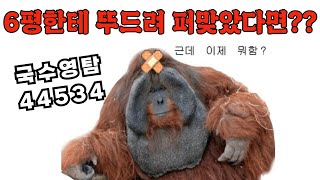 비상 6월 평가원 결과가 정시 라군 강대 시대 각 날카로우면 개추 [upl. by Enorahs]