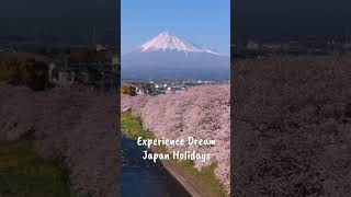 Explore Japan with affordable flights and hotels Book your trip now [upl. by Yruy]