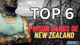 Top 6 prison gangs of New Zealand [upl. by Dylana580]