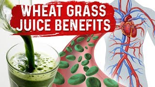 Green Blood Therapy – Benefits of Wheatgrass Juice Powder – DrBerg [upl. by Senecal7]