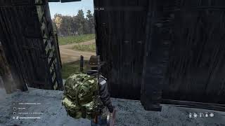 Live oh what a life on dayz [upl. by Anairol]