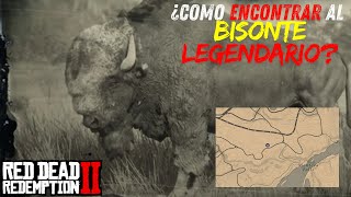 UBICACIÓN DEL BISONTE LEGENDARIO EN RDR2  Cazando todos los animales de Red Dead Redemption 2 [upl. by Emmerie937]