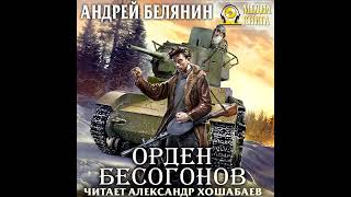 Андрей Белянин – Орден бесогонов Аудиокнига [upl. by Tisha218]