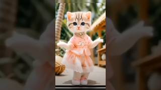 song music bollywood catto cats [upl. by Karoline]