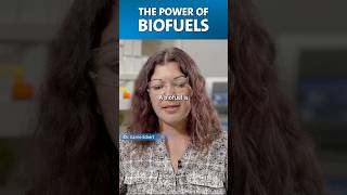 Biofuels explained QEDwithDrB energy microbes [upl. by Yelrahs]