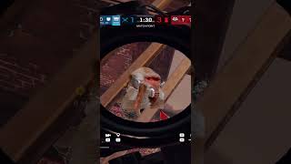 Your phone Ringing rainbowsixsiege gaming siegegaming r6 r6siege meme twitch funny [upl. by Brezin916]