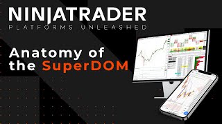 NinjaTrader Platforms Unleashed Anatomy of the SuperDOM [upl. by Nywles]