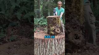 🧿Splitting Logs Like a Pro  Forest Survival Hack [upl. by Atled432]