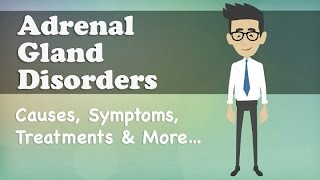 Adrenal Gland Disorders  Causes Symptoms Treatments amp More… [upl. by La Verne254]