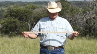 Determining Stocking Rate to Benefit Cattle and Quail Part 1 of 3 [upl. by Wane]