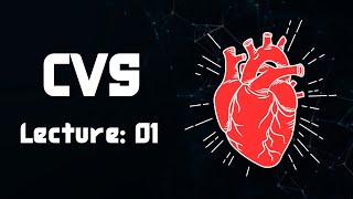 Hemodynamics  1  final CVS physiology lecture 01 [upl. by Adeuga]