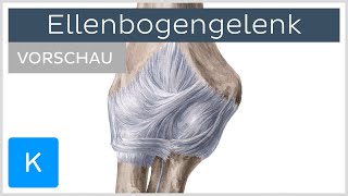 Ellenbogengelenk Aufbau amp Funktion Vorschau  Kenhub [upl. by Leander511]