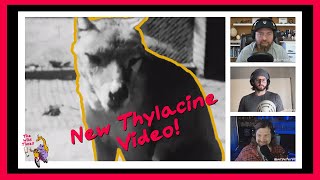 NEW THYLACINE FOOTAGE 2022  Forrest Galante Weighs in [upl. by Hurlee]