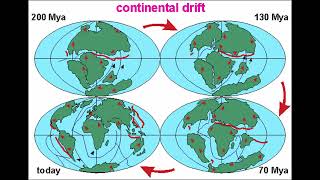 Alfred Wegeners Evidence of Continental Drift Theory [upl. by Natividad85]