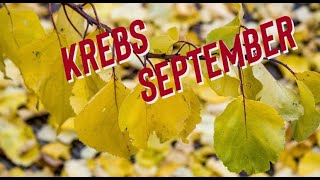 KREBS SEPTEMBER 2024 TAROT 🍁 PLÖTZLICHE VERÄNDERUNGEN september krebs tarot orakel [upl. by Yelsnik]