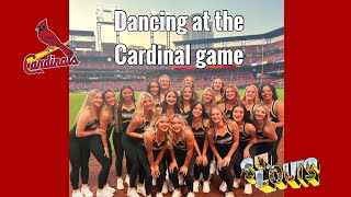 Dancing at the Cardinal game Lindenwood Lionettes [upl. by Celeste901]