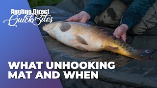 What Unhooking Mat And When  Carp Fishing Quickbite [upl. by Balduin]