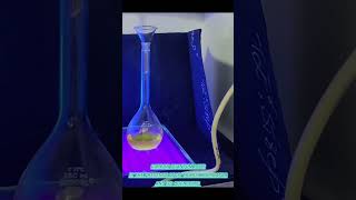 Carbon Quantum Dots under UV TRANSILLUMINATOR and its QUENCHING youtube biology biochemic cqdx [upl. by Bevers]