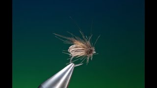 Fly Tying Clarkes caddis fly with Barry Ord Clarke [upl. by Brody882]