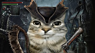 Bloodborne Explained With Cats [upl. by Anhcar]