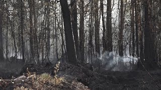 Skogsbranden i Älvdalen  torsdag 197 [upl. by Kreda292]