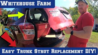 Subaru Rear Liftgate Trunk Strut Replacement DIY [upl. by Clower991]