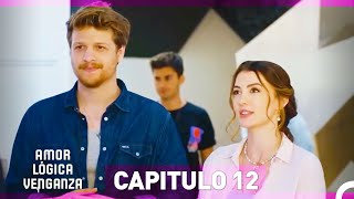 Amor Lógica Venganza Capitulo 12 Doblado en Español [upl. by Jarl]