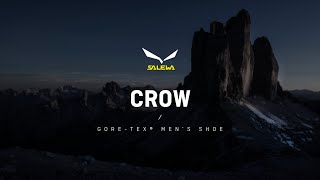 Salewa  Crow GoreTex® Mens Shoes [upl. by Bak40]