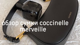 BAGS REVIEW COCCINELLE MERVEILLE [upl. by Genesia64]