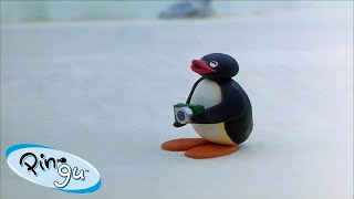 Best Episodes from Season 2  Pingu  Official Channel  Cartoons For Kids [upl. by Aleacim645]