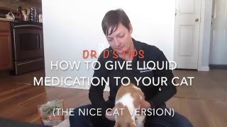 How To Give Liquid Medication To A Cat The Nice Version [upl. by Lengel]